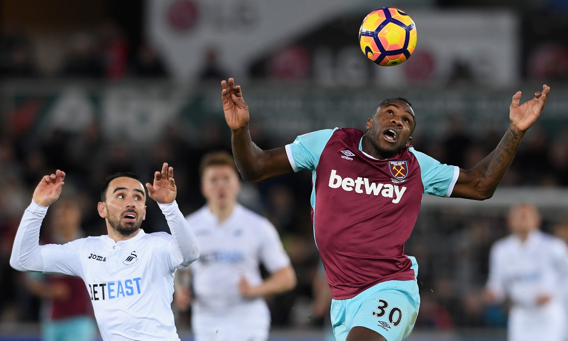 增添了明星 增添了明星